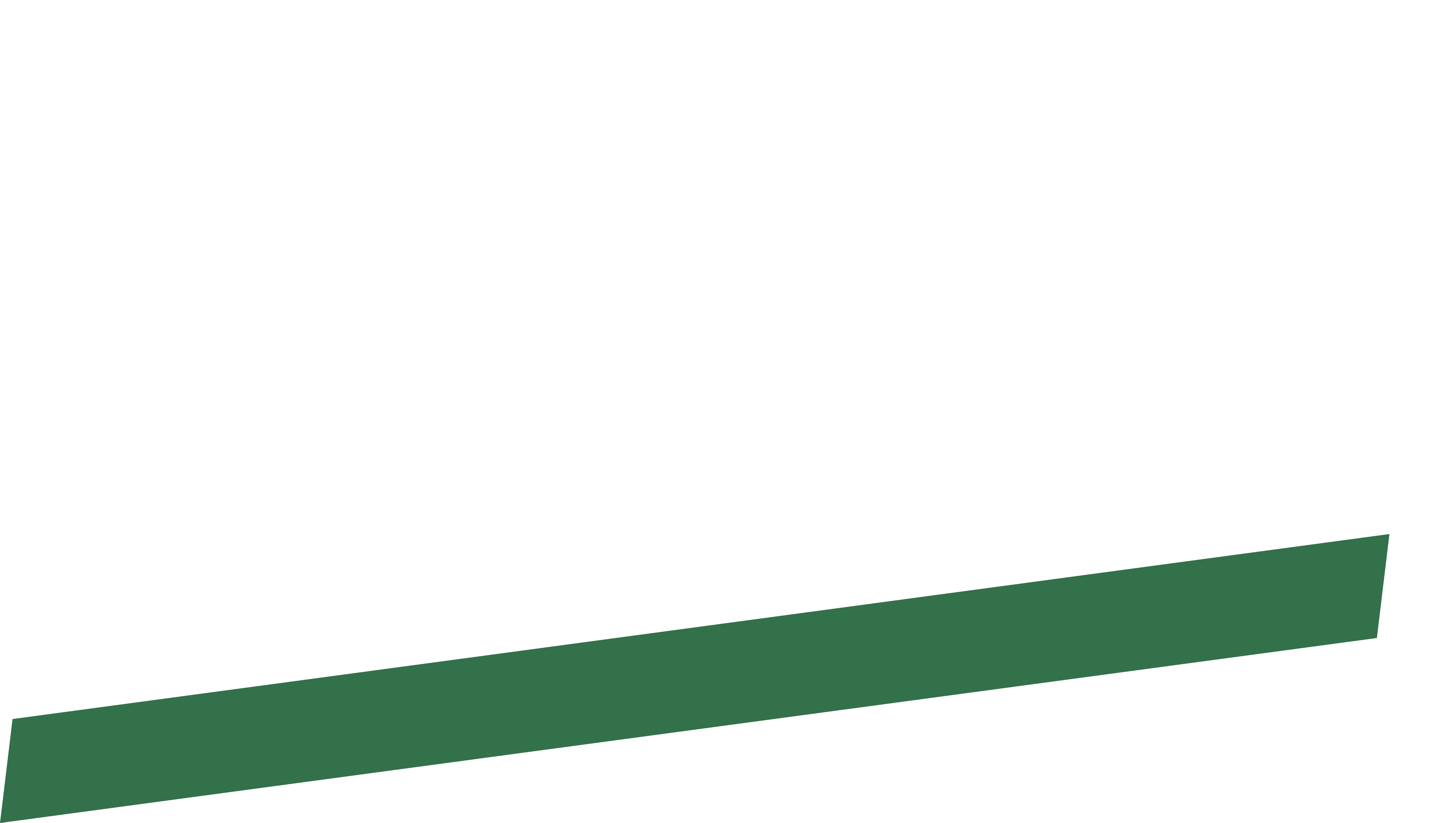 Green bottom line of the logo
